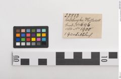 Etiketten zu Bronzegürtelblech (NHMW-PRAE-025813)